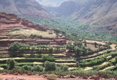 cultures en terrasses dans la vallée de l'Ourika, Maroc